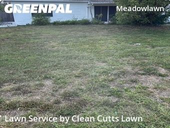Grass Cutting nearby St. Petersburg, FL, 