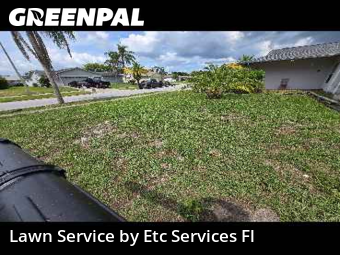Lawn Management in Bayonet Point, 34668, Yard Grooming by Etc Services Fl, work completed in Nov , 2025