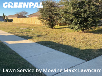 Turf Services in Hutto, 78634, Weed Trimming by Mowing Maxx Lawncare, work completed in Dec , 2025