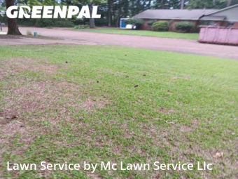Yard Cutting nearby Pearl, MS, 