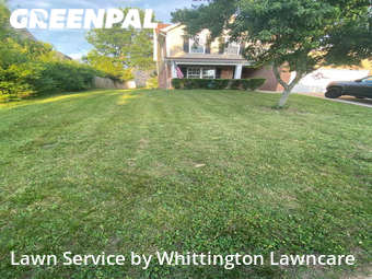 Lawn Mow nearby Mt. Juliet, TN, 
