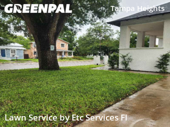 Lawn Service nearby Tampa, FL, 