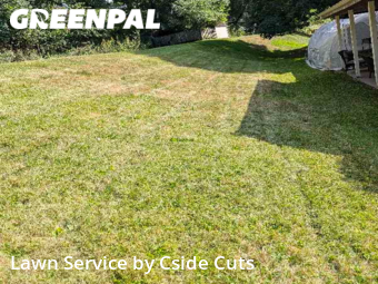 Grass Cut nearby Pittsburgh, PA, 