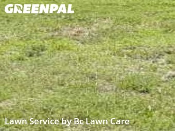 Grass Cutting nearby Raleigh, NC, 