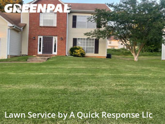 Grass Cut nearby Ellenwood, GA, 