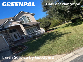 Grass Cutin Orange Park,32065,Lawn Mowing Service by Goodyard , work completed in Dec , 2025