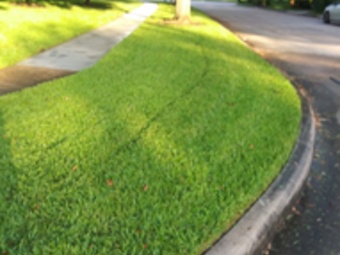 Order Lawn Care in Houston, TX, 77047