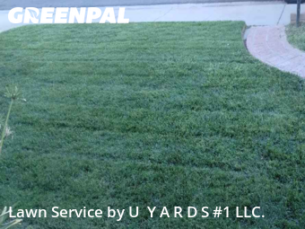 Work completed by grass-care-professionals-in-Modesto-CA