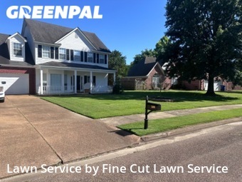 Lawn Mow nearby Olive Branch, TN, 