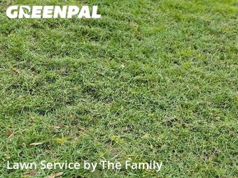 Lawn Care Service nearby Winter Park, FL, 