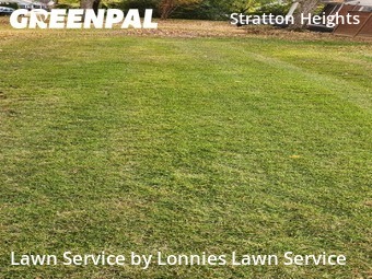 Grass Care in Madison, 37115, Yard Cutting by Lonnies Lawn Service, work completed in Nov , 2025