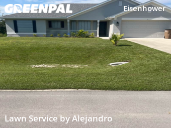 Lawn Mow nearby Lehigh Acres, FL, 