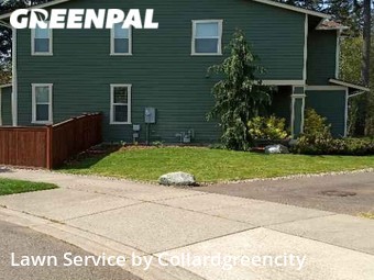 Grass Cutting nearby Lacey, WA, 