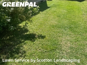 Lawn Service nearby Bear Creek, NC, 