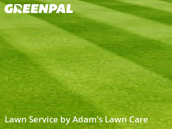 Grass Cut nearby St. Louis, MO, 