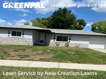 Lawn Mowing Service nearby Brandon, FL, 