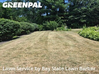 Lawn Mow nearby Stoughton, MA, 