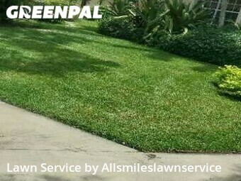 Grass Cut nearby Weston, FL, 