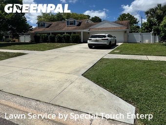 Grass Cut nearby Clearwater, FL, 