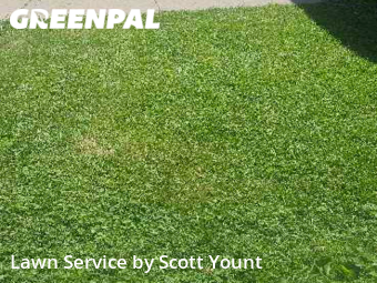 Grass Cut nearby Freeport, IL, 