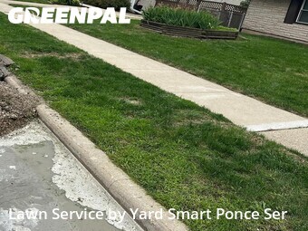 Grass Cutting nearby Romeoville, IL, 