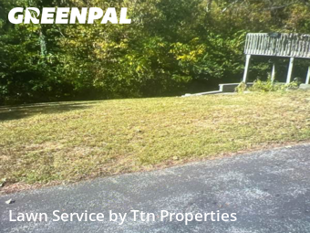 Yard Cutting nearby Zionsville, IN, 