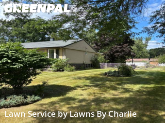 Grass Cut nearby Jackson, MI, 