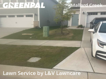 Lawn Cut nearby Charlotte, NC, 