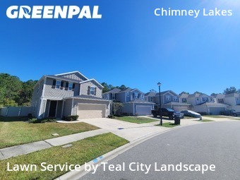 Lawn Carein Jacksonville,32222,Yard Cutting by Teal City Landscape , work completed in Nov , 2025