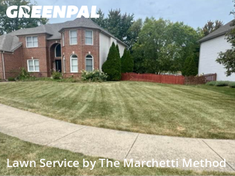 Grass Cutting nearby Aurora, IL, 