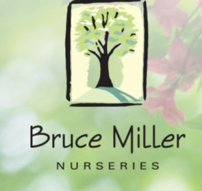 Best Nursery in Mesquite Texas 2