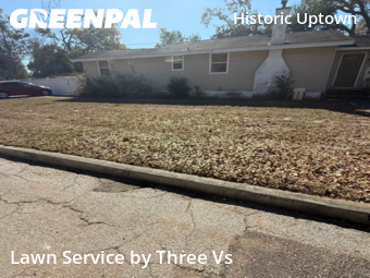 Modern Landscaping In St. Petersburg,33701,Landscaping Maintenance by Three Vs , work completed in Feb , 2026