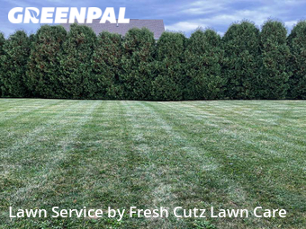 Yard Cutting nearby Xenia, OH, 