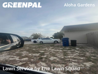 Yard Mowing nearby Holiday, FL, 