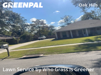 Lawn Care in Baton Rouge, 70810, Grass Services by Who Grass Is Greener, work completed in Nov , 2025