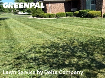 Lawn mowed in Bowling Green, 42104