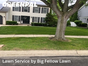 Yard Cutting nearby Carol Stream, IL, 