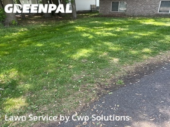 Grass Cut nearby Blaine, MN, 