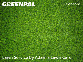 Lawn Mow nearby St. Louis, MO, 