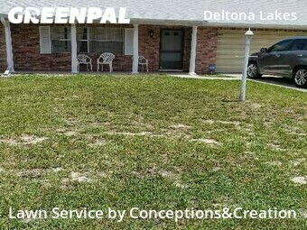 Lawn Cut nearby Deltona, FL, 