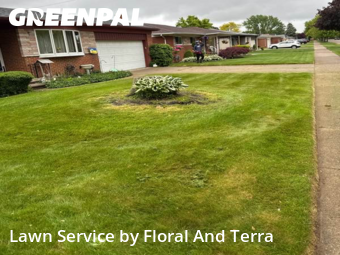 Lawn Cut nearby Warren, MI, 