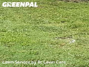 Lawn Mowing Service nearby Knightdale, NC, 