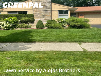 Lawn Mowin Elmhurst,60126,Lawn Mowing by Alejos Brothers, work completed in Nov , 2025