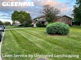 Yard Mowing nearby Lockport, IL, 