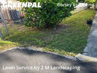 Lawn Cutting nearby Fort Lauderdale, FL, 