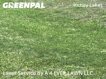 Lawn Care nearby Hudson, FL, 
