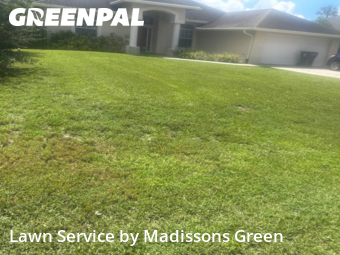 Lawn Services in West Palm Beach, 33413, Weed Trimming by Madissons Green, work completed in Nov , 2025
