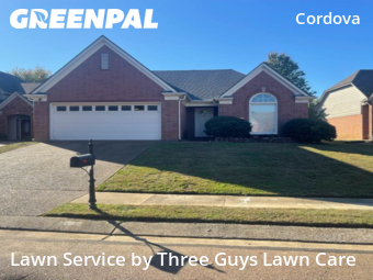 Yard Care in Cordova, 38016, Lawn Care by Three Guys Lawn Care, work completed in Dec , 2025