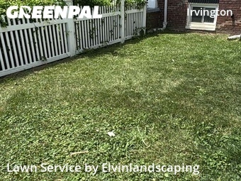 Landscaping Cleanup In Baltimore,21229,Landscaping Installation by Elvinlandscaping, work completed in Jun , 2026