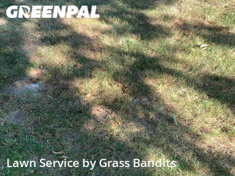 Lawn Mowing nearby Billings, MT, 